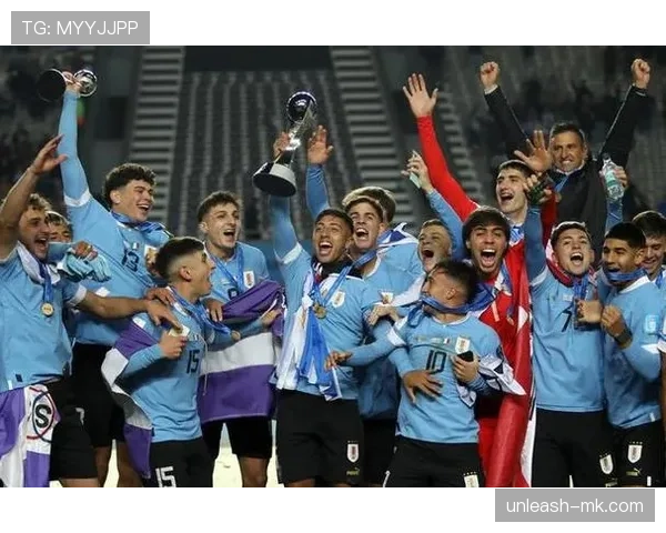 乌拉圭队世界杯辉煌历程回顾:历史传承与未来展望交织