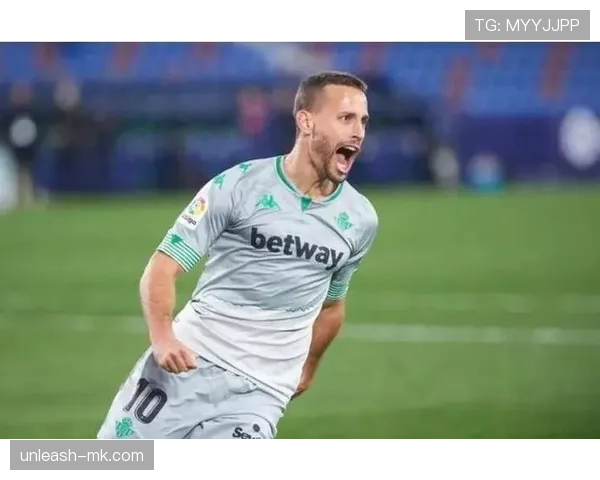 亨克核心球员状态回暖，助球队连克强敌